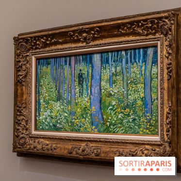 Exposition Van Gogh au Musée d’Orsay - Auvers-sur-Oise, les derniers mois -  A7C3118