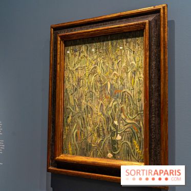 Exposition Van Gogh au Musée d’Orsay - Auvers-sur-Oise, les derniers mois -  A7C3081