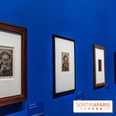 Exposition Van Gogh au Musée d’Orsay - Auvers-sur-Oise, les derniers mois -  A7C3040