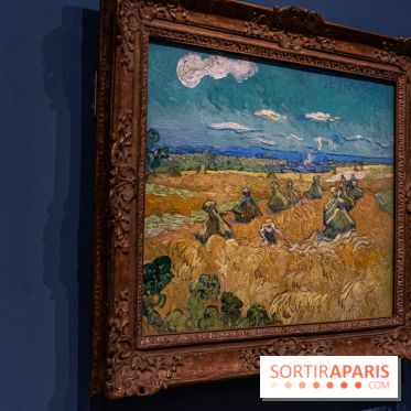 Exposition Van Gogh au Musée d’Orsay - Auvers-sur-Oise, les derniers mois -  A7C3108