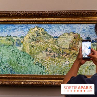 Exposition Van Gogh au Musée d’Orsay - Auvers-sur-Oise, les derniers mois -  A7C3115