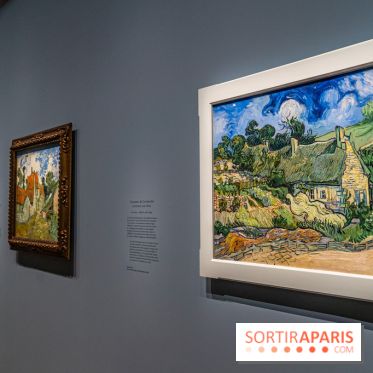 Exposition Van Gogh au Musée d’Orsay - Auvers-sur-Oise, les derniers mois -  A7C3046