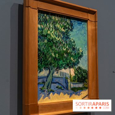 Exposition Van Gogh au Musée d’Orsay - Auvers-sur-Oise, les derniers mois -  A7C3071
