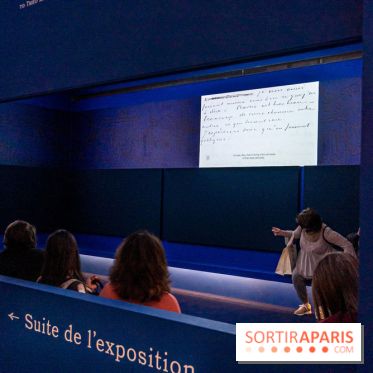 Exposition Van Gogh au Musée d’Orsay - Auvers-sur-Oise, les derniers mois -  A7C3065