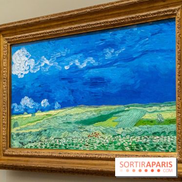 Exposition Van Gogh au Musée d’Orsay - Auvers-sur-Oise, les derniers mois -  A7C3121