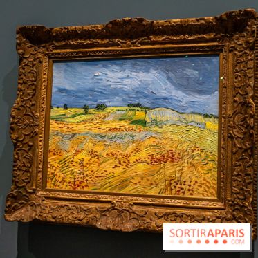 Exposition Van Gogh au Musée d’Orsay - Auvers-sur-Oise, les derniers mois -  A7C3102