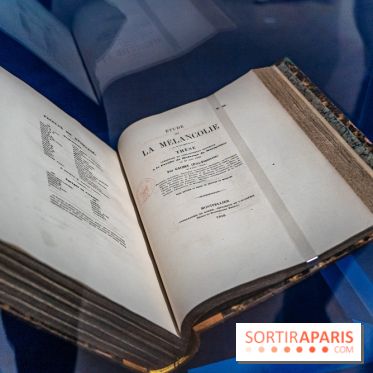 Exposition Van Gogh au Musée d’Orsay - Auvers-sur-Oise, les derniers mois -  A7C3043