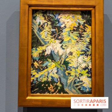 Exposition Van Gogh au Musée d’Orsay - Auvers-sur-Oise, les derniers mois -  A7C3080