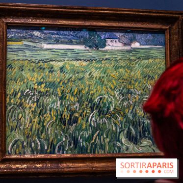 Exposition Van Gogh au Musée d’Orsay - Auvers-sur-Oise, les derniers mois -  A7C3104