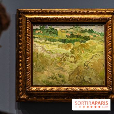 Exposition Van Gogh au Musée d’Orsay - Auvers-sur-Oise, les derniers mois -  A7C3075