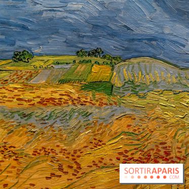 Exposition Van Gogh au Musée d’Orsay - Auvers-sur-Oise, les derniers mois -  A7C3103