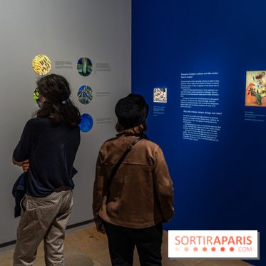 Exposition Van Gogh au Musée d’Orsay - Auvers-sur-Oise, les derniers mois -  A7C3067