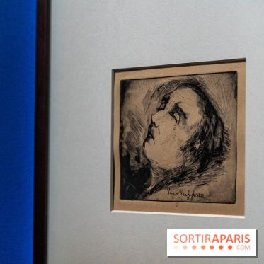 Exposition Van Gogh au Musée d’Orsay - Auvers-sur-Oise, les derniers mois -  A7C3128