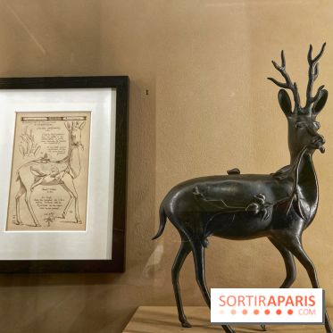 Retour d'Asie au Musée Cernuschi - IMG 5585