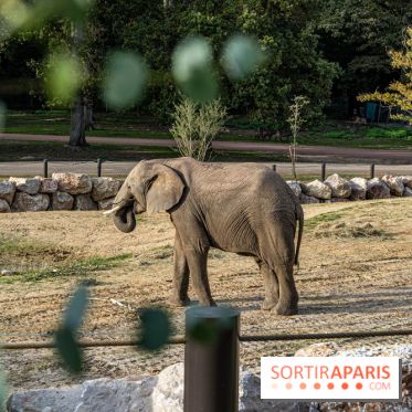 Les lodges de Thoiry - dormir à Thoiry en Terres d'Afrique - Photos -  A7C3301