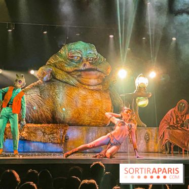 Star Wars The Empire Strips Back