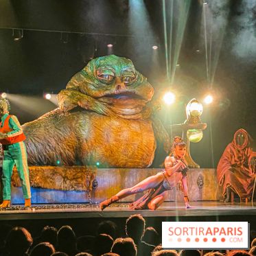 Star Wars The Empire Strips Back