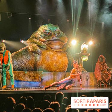 Star Wars The Empire Strips Back