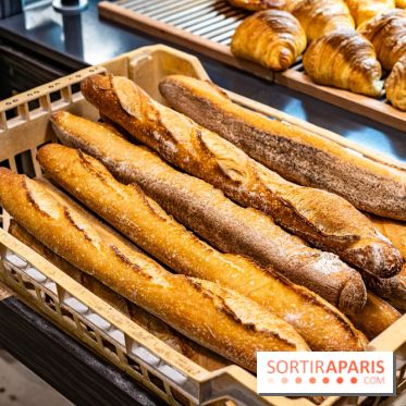 Atelier Fargo, la pâtisserie artisanale gourmande au levain naturel  -  baguette tradition