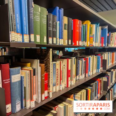 BULAC, la grande bibliothèque des langues dans le 13e - image00020