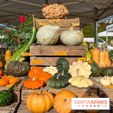 Automne au Potager du Roi - Citrouilles - Halloween