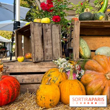 Automne au Potager du Roi - Citrouilles - Halloween