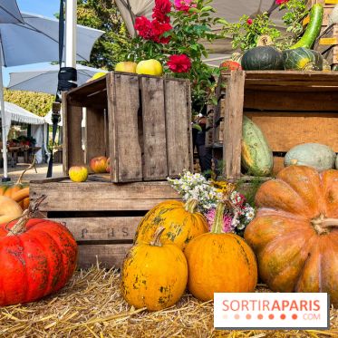 Automne au Potager du Roi - Citrouilles - Halloween