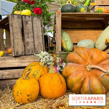Automne au Potager du Roi - Citrouilles - Halloween