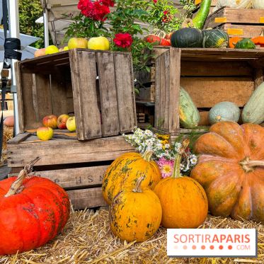 Automne au Potager du Roi - Citrouilles - Halloween