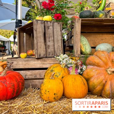 Automne au Potager du Roi - Citrouilles - Halloween
