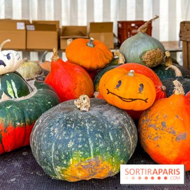 Automne au Potager du Roi - Citrouilles - Halloween