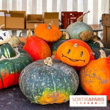 Automne au Potager du Roi - Citrouilles - Halloween