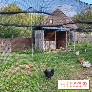 La ferme pédagogique du parc des Chanteraines