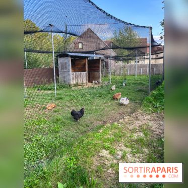 La ferme pédagogique du parc des Chanteraines