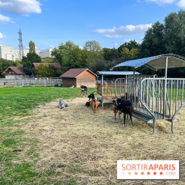 La ferme pédagogique du parc des Chanteraines