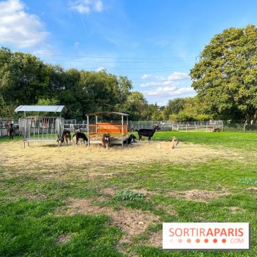La ferme pédagogique du parc des Chanteraines