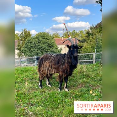La ferme pédagogique du parc des Chanteraines