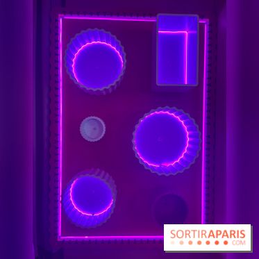 Secret Garden, le brunch immersif dans le 13e - image00067