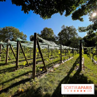 Parc de Bercy visuels - IMG 0158