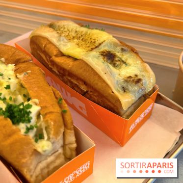 Dawg - Sandwich Birria