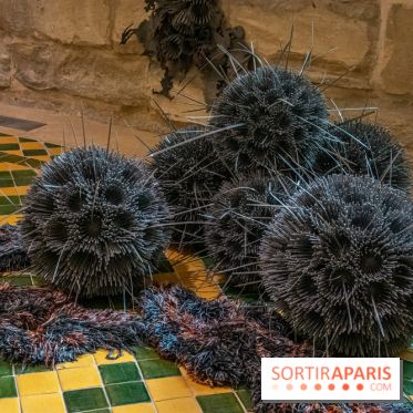 Exposition Entre Les Murs de Tanja Smeets et Karin van Dam Abbaye de Maubuisson