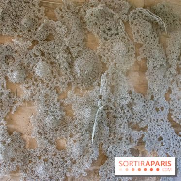 Exposition Entre Les Murs de Tanja Smeets et Karin van Dam Abbaye de Maubuisson