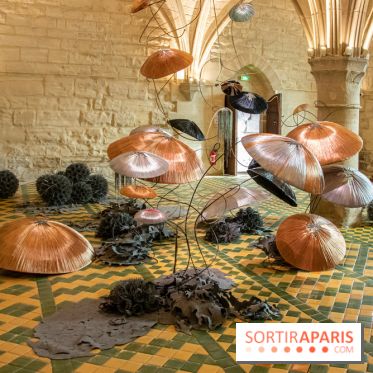 Exposition Entre Les Murs de Tanja Smeets et Karin van Dam Abbaye de Maubuisson