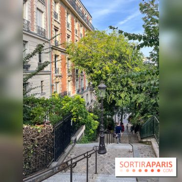 Vignes Montmartre