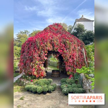 Vignes Montmartre - image00017