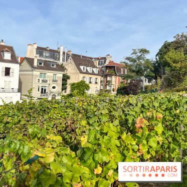 Vignes Montmartre