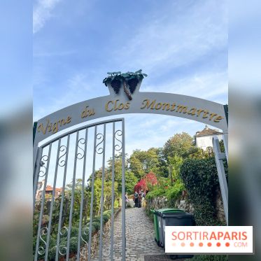 Vignes Montmartre