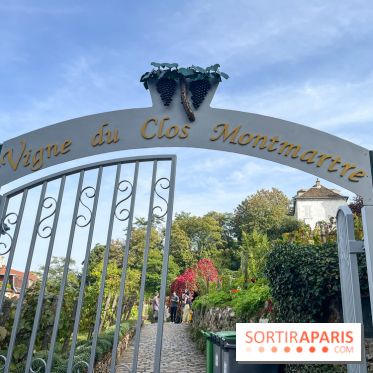 Vignes Montmartre