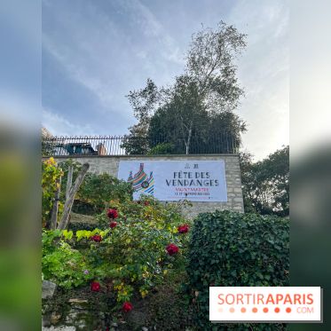 Vignes Montmartre