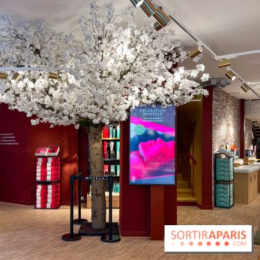 Rituals Mind Oasis - institut de relaxation mentale sur les Champs-Élysées - image00008